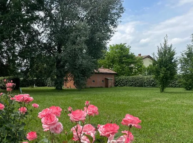 Malamu Eventi Rigosa