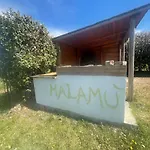 Bed & Breakfast Malamu Eventi 4*
