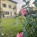 Malamu Eventi