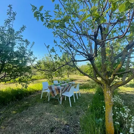 Malamu Eventi Rigosa