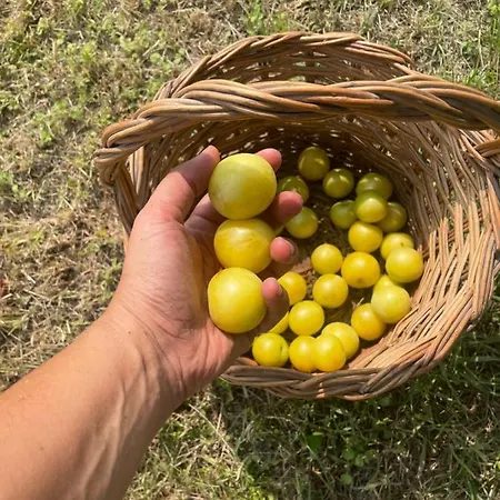 Nocleg ze śniadaniem Malamu Eventi