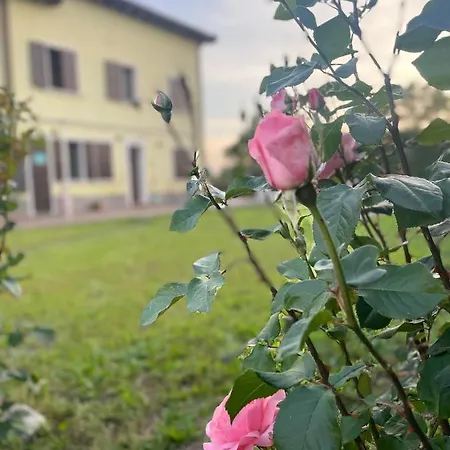 Malamu Eventi