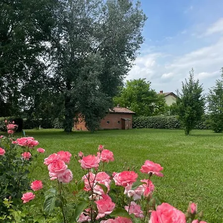 Malamu Eventi Rigosa