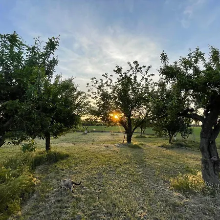 Bed & Breakfast Malamu Eventi