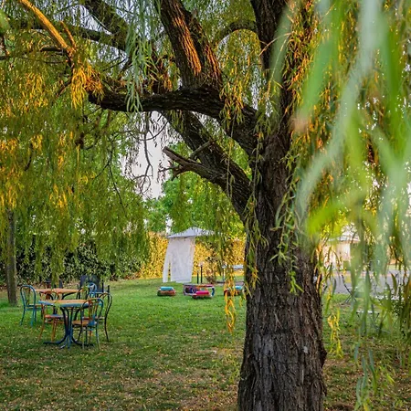 Malamu Eventi Rigosa