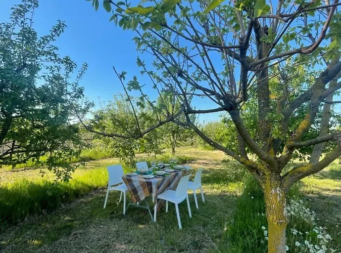 Malamu Eventi Rigosa