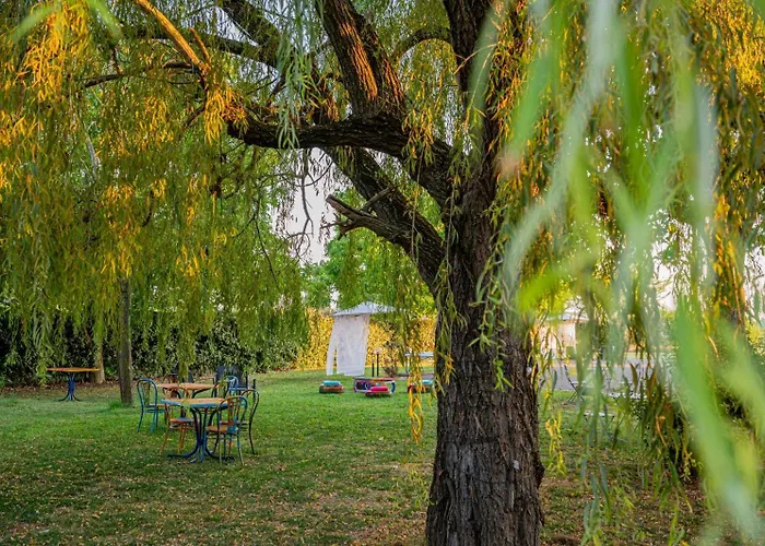 Malamu Eventi Rigosa